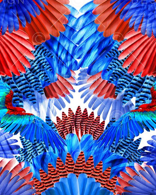 羽毛印花华亿平台图片