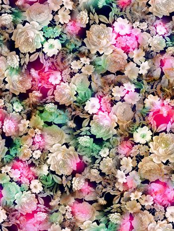 286400-多彩花卉花朵组合