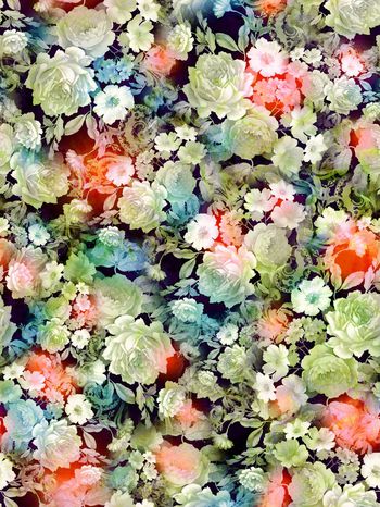 286401-多彩花卉花朵组合