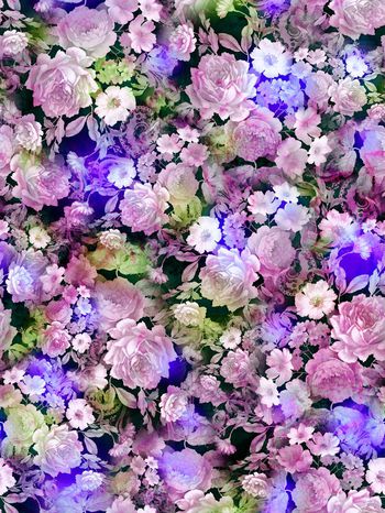 286402-多彩花卉花朵组合