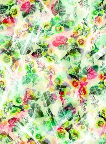 286440-多彩花卉花朵组合