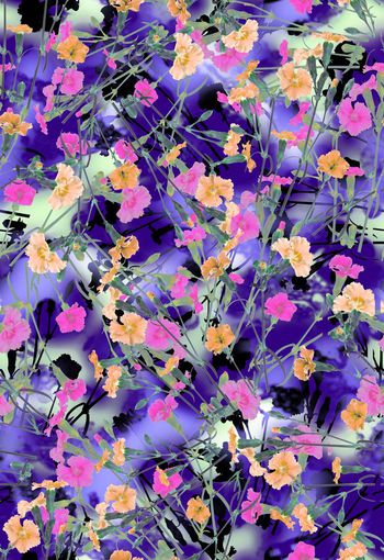 286591-多彩花卉花朵组合