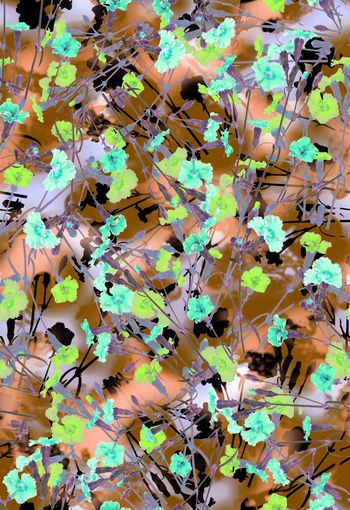 286592-多彩花卉花朵组合