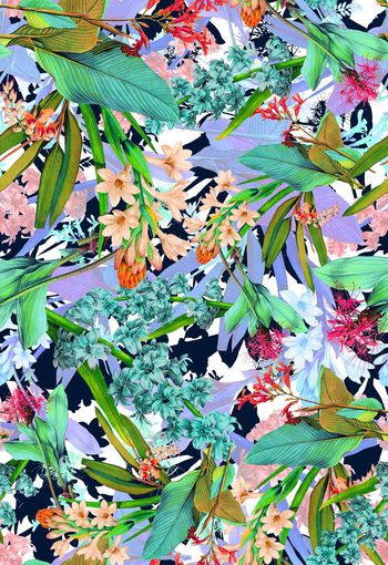 286593-多彩热带花卉花朵