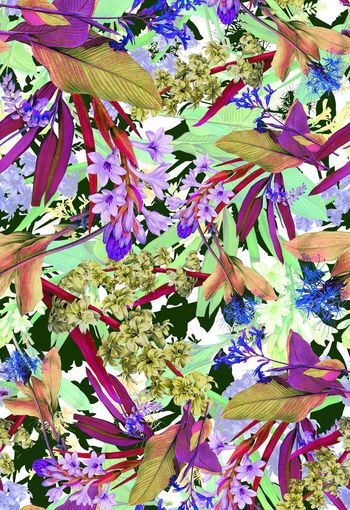 286594-多彩热带花卉花朵