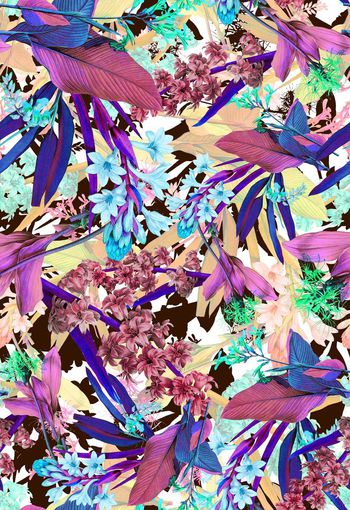 286595-多彩热带花卉花朵