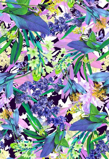 286596-多彩热带花卉花朵