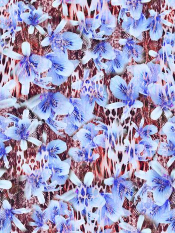 286598-动物纹花卉花朵组合