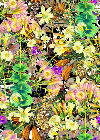 286903-多彩花卉花朵组合