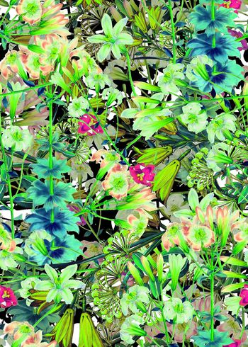 286904-多彩花卉花朵组合