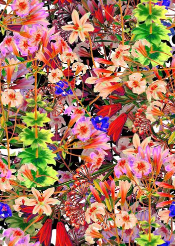 286905-多彩花卉花朵组合