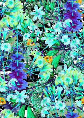 286906-多彩花卉花朵组合