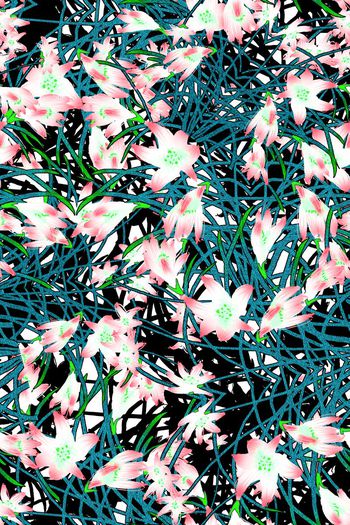 286938-清新兰花花卉花朵组合