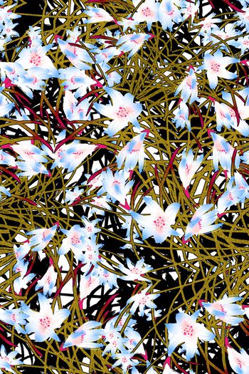 286939-清新兰花花卉花朵组合