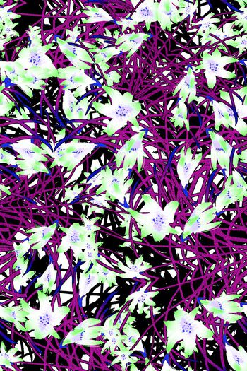 286940-清新兰花花卉花朵组合