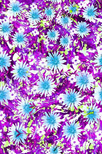 286942-多彩花卉花朵组合