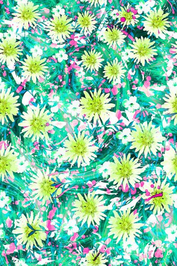 286943-多彩花卉花朵组合