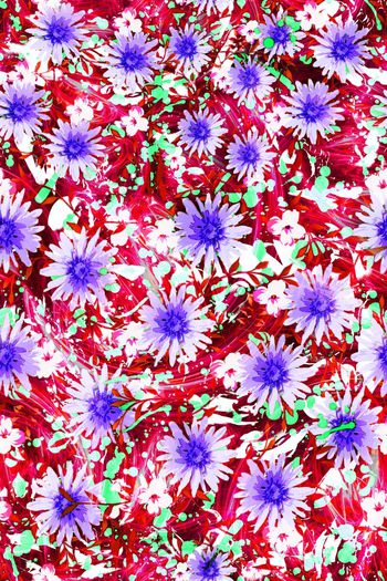 286944-多彩花卉花朵组合