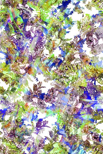 287002-多彩菊花花卉花朵组合