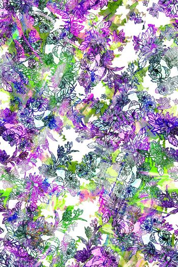 287003-多彩菊花花卉花朵组合