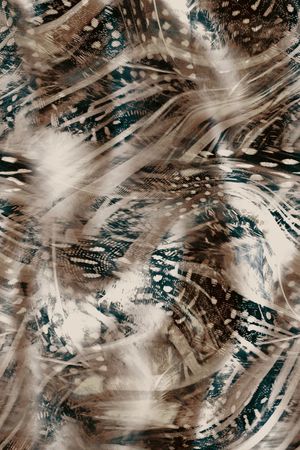 豹纹印花华亿平台图片