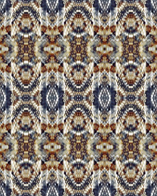 动物纹印花华亿平台图片