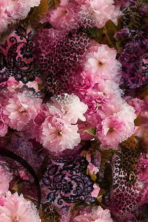 动物纹印花华亿平台图片