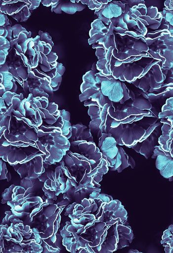 288422-暗夜花卉反色大面积印花华亿平台