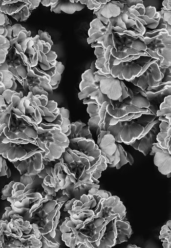 288423-暗夜花卉反色大面积印花华亿平台