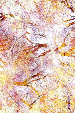 水彩印花华亿平台图片