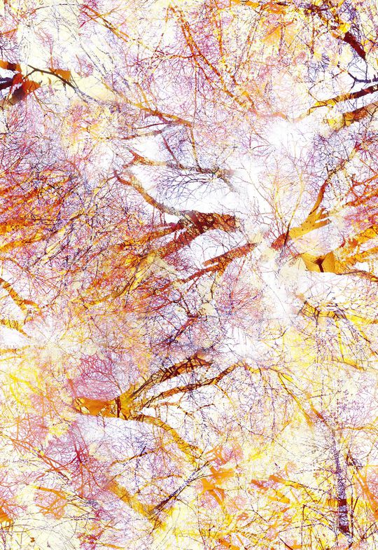 水彩印花华亿平台图片