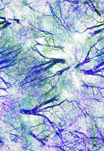 288484-水彩油画笔触树枝树林印花