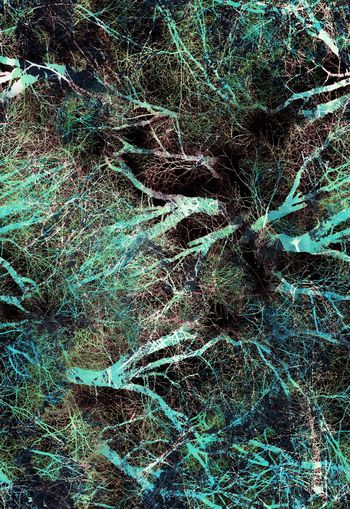 288486-水彩油画笔触树枝树林印花