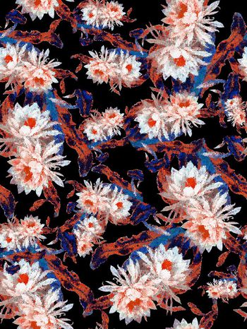 288707-花卉花朵抽象组合