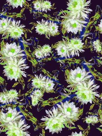 288708-花卉花朵抽象组合