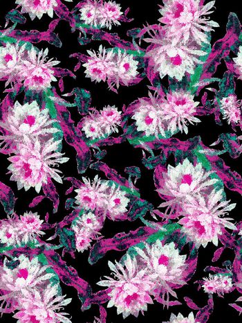 288709-花卉花朵抽象组合