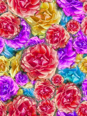 288729-多彩大花卉花朵组合