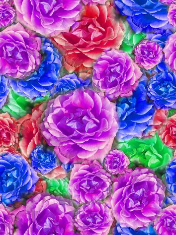 288730-多彩大花卉花朵组合