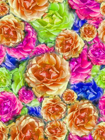 288731-多彩大花卉花朵组合