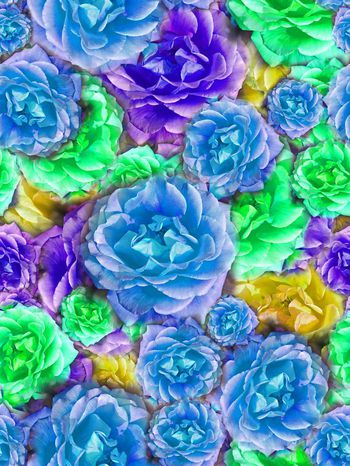 288732-多彩大花卉花朵组合