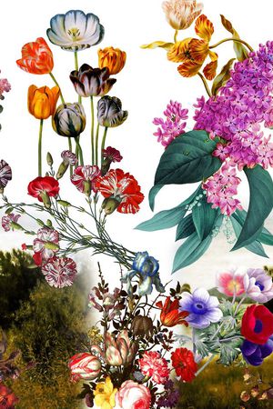 花卉印花华亿平台图片