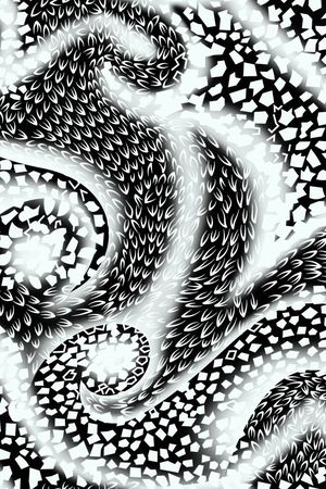 黑白印花华亿平台图片