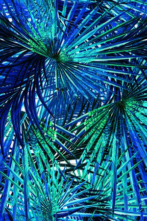 手绘水彩印花华亿平台图片