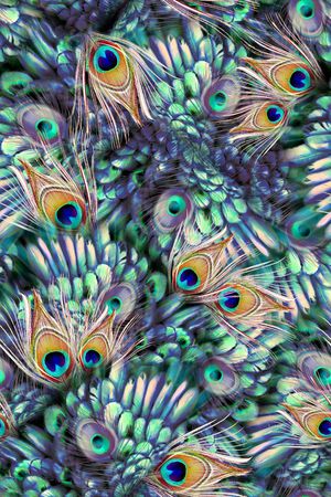 孔雀羽毛印花华亿平台图片