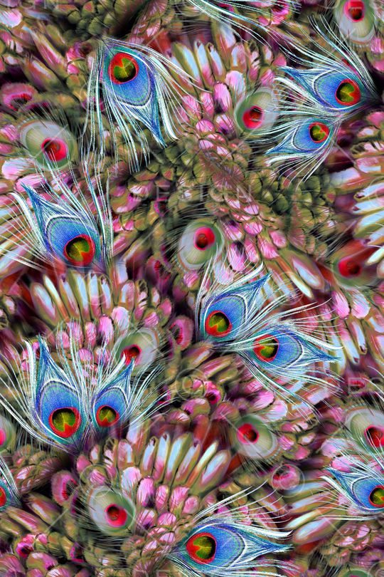 印花华亿平台图片