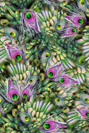 印花华亿平台图片