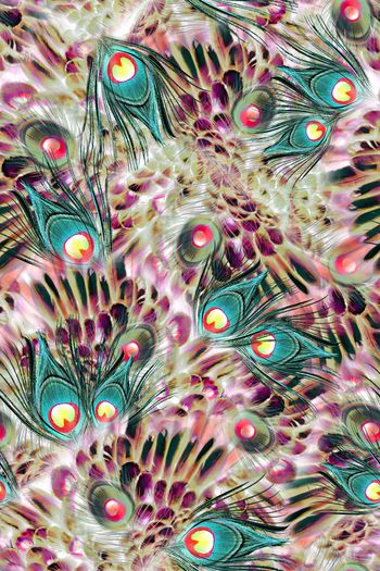 290921-复古华美飞鸟孔雀华丽翎羽