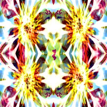 291213-光影中的花