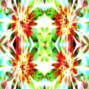 291214-光影中的花