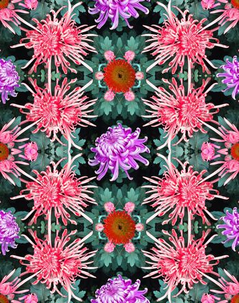 291366-写实照片设计之菊花